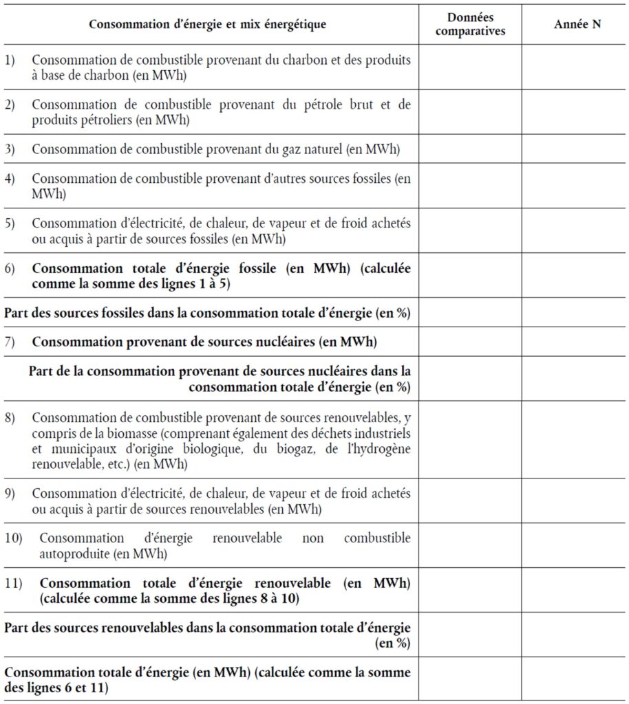 Tableau relatif à la consommation d’énergie et au mix énergétique